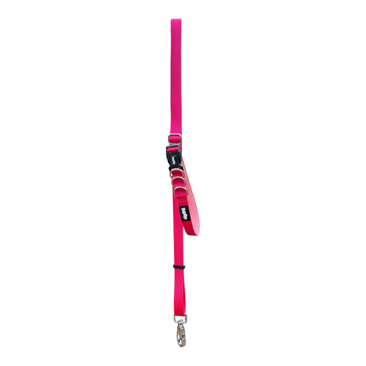 Roam Multiway Leash Pink