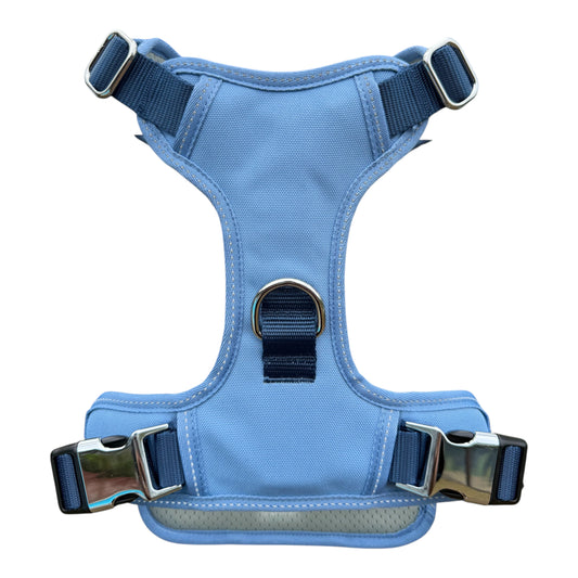Explorer Harness Blue