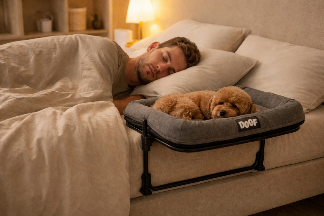 How to Sleep With Your Dog Comfortably