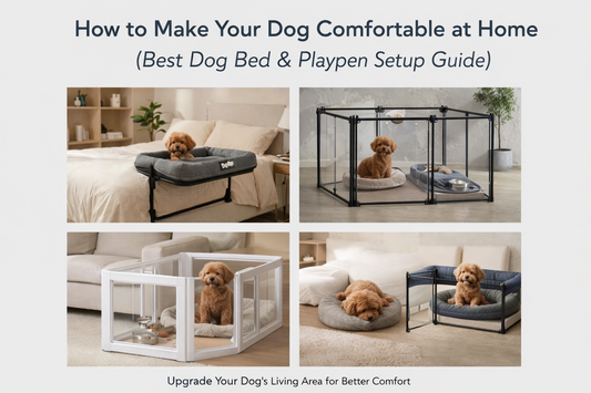 Dog bed and playpen setup guide showing bedside sleeper, plastic and aluminium playpens, and comfortable dog resting areas at home