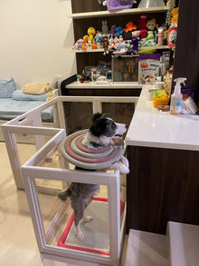 0F718D32-5A81-47D9-A8D3-D133E7F3CCF5.jpg__PID:fc367a37-39d4-4fdb-8ba9-49fd6af6e246