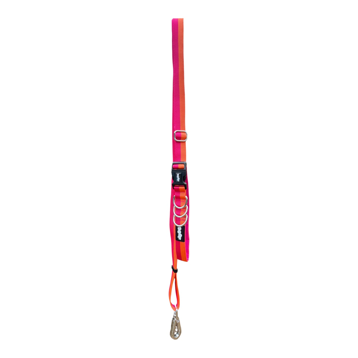 Roam Multiway Leash