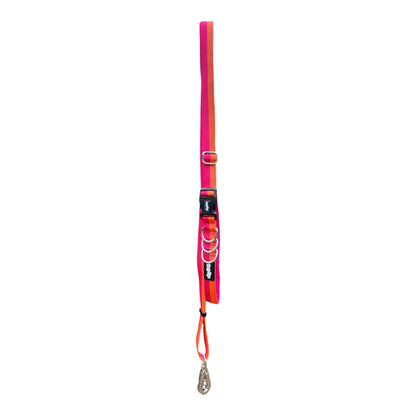 Roam Multiway Leash