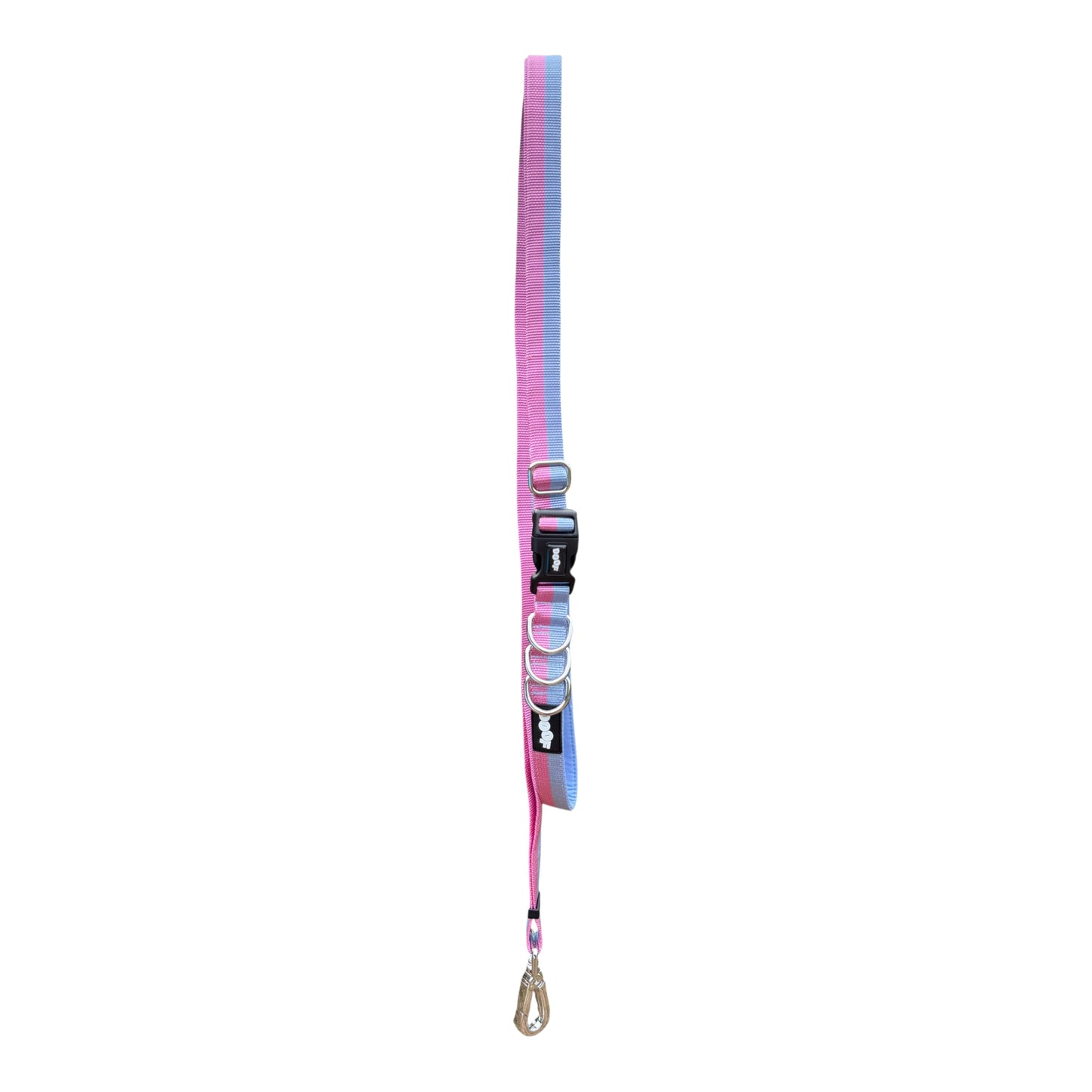 Roam Multiway Leash