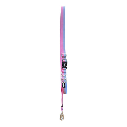 Roam Multiway Leash
