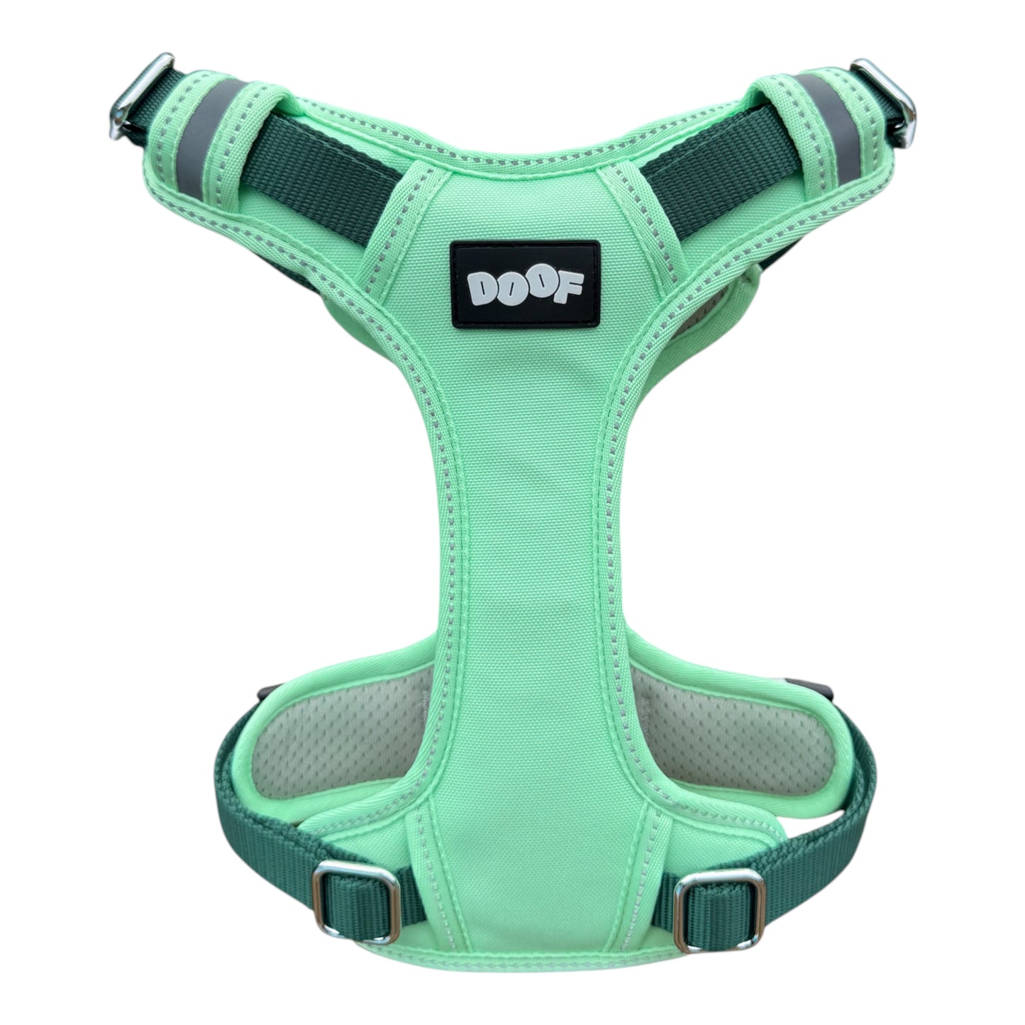 Explorer Harness