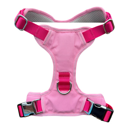 Explorer Harness