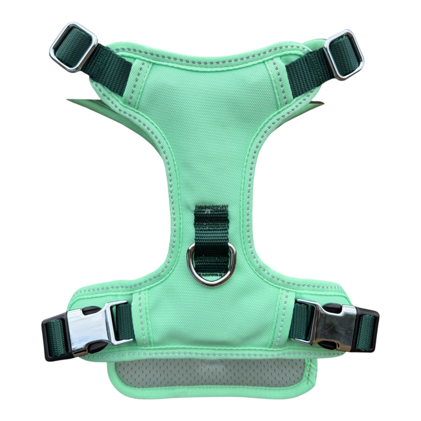 Explorer Harness
