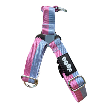 Everyday Harness