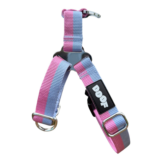 Everyday Harness Pink and Blue