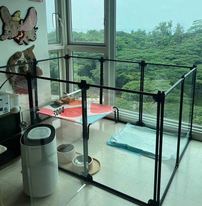 b04fa111-3fce-4e1a-8bd4-c2d0ef40ab6f.JPG__PID:b267dda8-1007-4b01-8ac8-53beed1e81d1